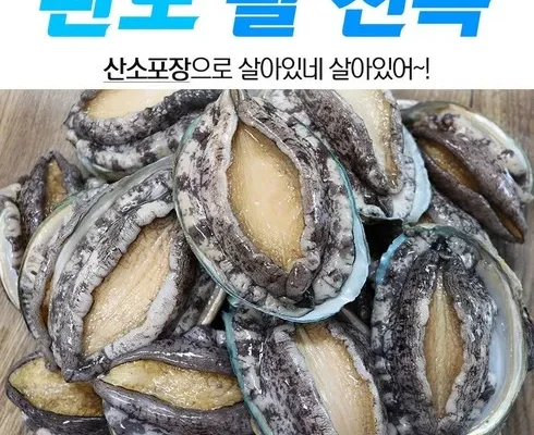 가성비최고 실속활전복 20미  리뷰