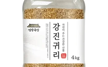 가성비최고 국내산 강진 쌀귀리 5kg  베스트[2024]