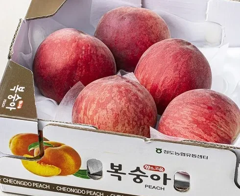 강력추천 산지애 부드러운 백도 복숭아 6kg  추천상품